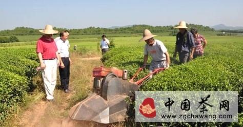 有关于婺源县开展茶园除草中耕机应用试验的最新信息