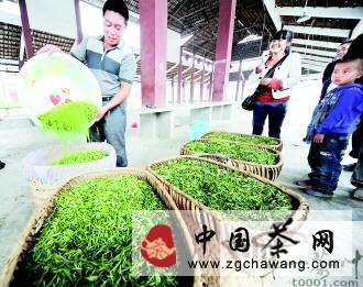 有关于湄潭县核桃坝茶叶产业实现大发展的最新资讯(1)