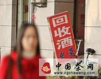 关于茶市风向：成都豪华礼盒茶销量减七成的信息