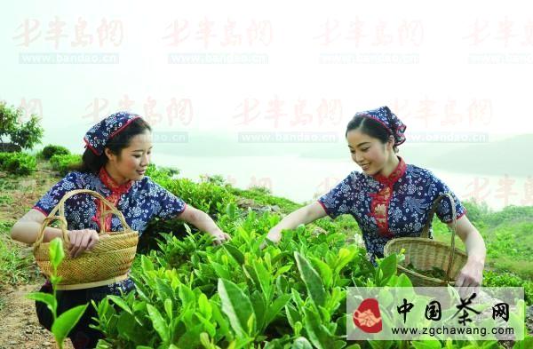 有关于礼品茶瞄上大众路线的热门信息(1)