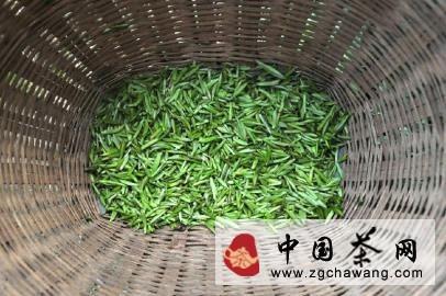 有关于2014竹叶青春茶 清新上市的消息