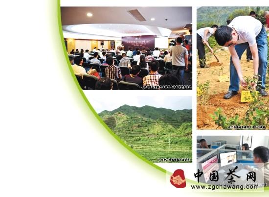 关于安溪创新在茶产业链开花结果（图）的最新资讯(1)