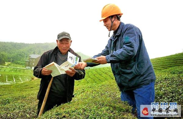 关于临安供电公司提前检测保春茶供电的热门资讯
