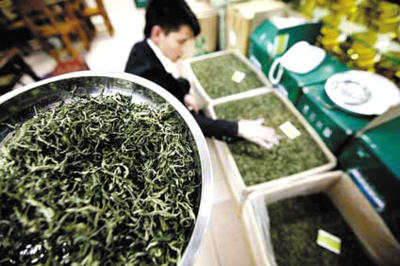 有关于终端炒作让新贵白茶又成玄虚的最新消息
