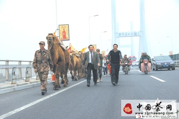 有关于重走“茶叶之路”百峰骆驼队过荆江的最新资讯