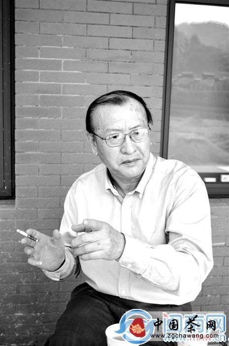 关于业界专家聚焦安溪茶博会 指点茶产业发展思路的资讯(1)