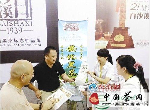 关于“黑旋风”刮到安溪茶博会的最新消息