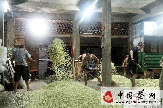 关于福鼎点头镇茉莉花茶生产企业窨花忙的热门新闻