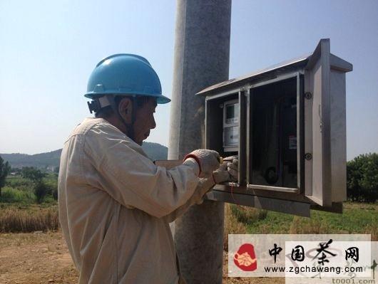 关于高淳县供电“电保姆”为80万株白茶提供甘露的信息