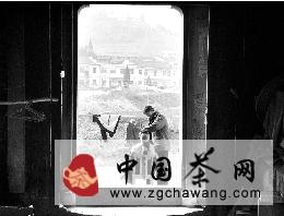 有关于200多座古桥 记录茶马交易、古今战事的热门资讯(1)