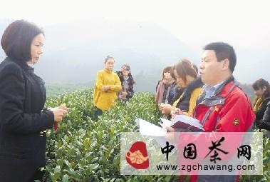 有关于俞佳友：与安吉茶农共学三中全会精神的最新资讯