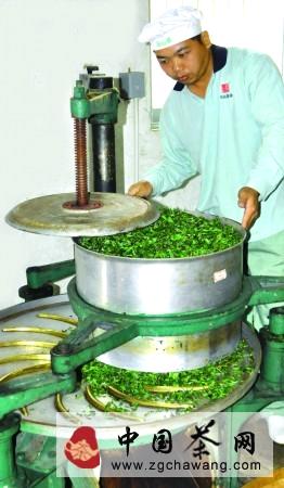 有关于梅州茶业发展方向——突出客家特色做强“嘉应茗茶”的新闻