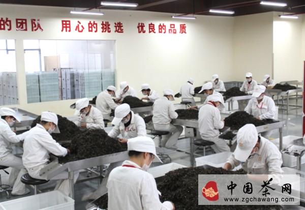 关于解读曼松贡茶8800元/套的价值的最新信息(5)