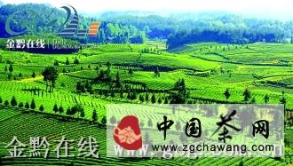 关于走进“中国西部第一茶叶专业村”凤冈田坝的消息