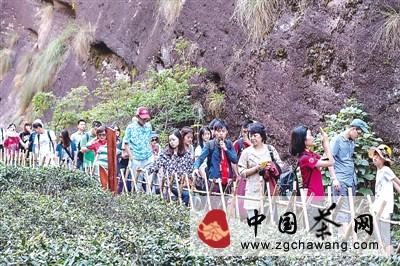 关于武夷山茶文化休闲游逐渐成为“热门”的新闻
