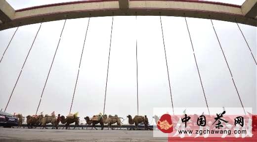 关于龙潭信阳毛尖重走古茶叶之路 赴欧亚11国宣传信阳茶文化的资讯