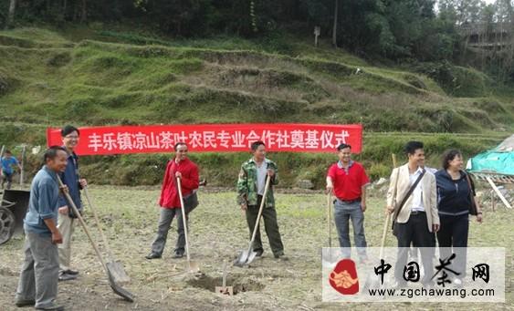 关于三都县凉山茶叶农民专业合作社共建美丽乡村的最新资讯