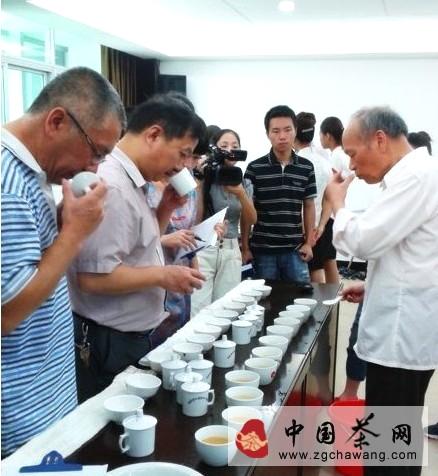 有关于福鼎白茶民间斗茶赛昨日开赛的消息