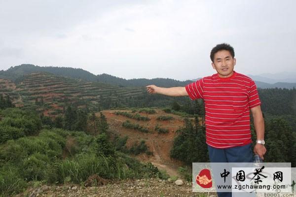 关于贵州榕江农民雷公山麓栽药种茶获得成功的资讯(1)