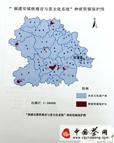 有关于安溪铁观音走起国家农业文化申遗路的热门消息(1)