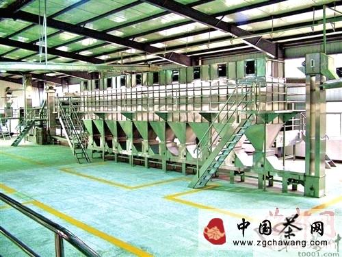 有关于“新技术＋标准化”助推福鼎白茶出口逆势增长的最新信息