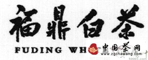 有关于福鼎白茶，香飘海内外的资讯