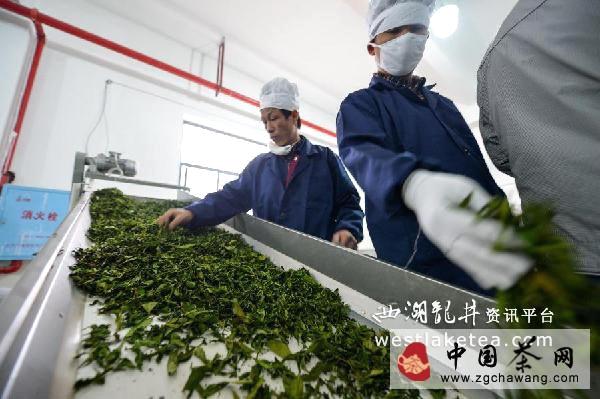 关于中国首个黄茶产业园在湖南省岳阳市君山建成的热门消息(1)