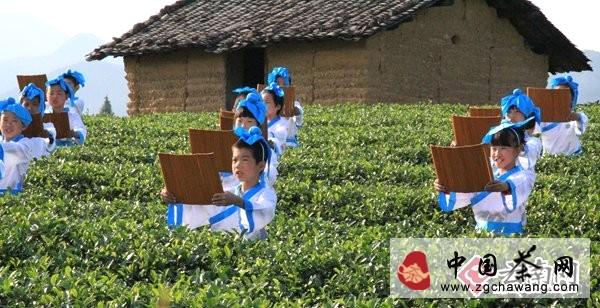 有关于2013中国网络媒体万亩茶园骑行 寻觅松阳茶香的最新资讯