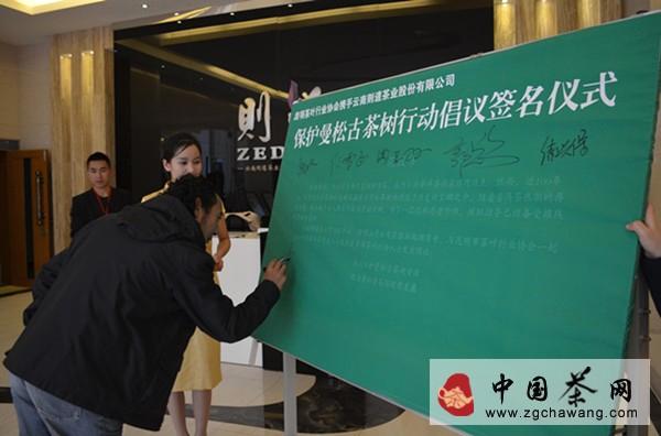 关于昆明茶叶协会携手云南则道茶业一同开展保护曼松古茶树行动的热门信息