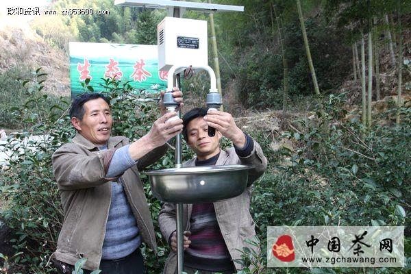 有关于政和县党员为野生茶园安装太阳能灭蚊灯的最新资讯