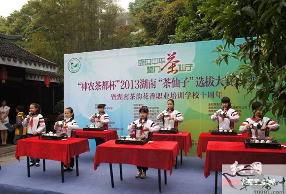 关于2013湖南“茶仙子”选拔大赛启动的消息
