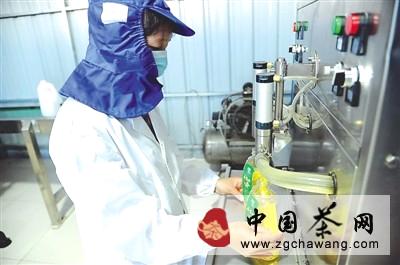 有关于武夷山油茶合作社年产茶油13.8万公斤的最新资讯