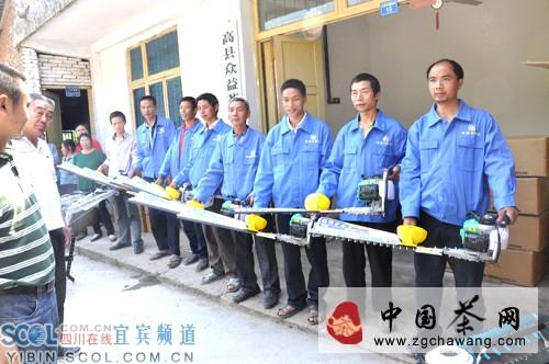 有关于宜宾市争当千亿茶产业“排头兵”的热门消息(1)