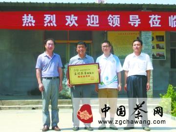 有关于泉韵茶香香飘泉城醉的最新消息