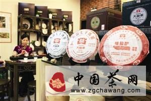 有关于云南茶好,古茶树更需保护好的最新资讯