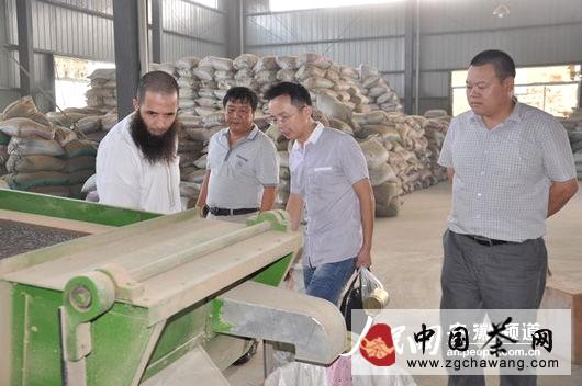 有关于阿尔及利亚客商考察徽茶 并订购岳西夏秋茶300吨的消息