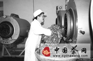 关于大田县开展茶叶初制加工清洁化改造工程的新闻