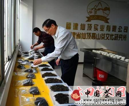 有关于大田高山茶文化节举办秋季茶叶质量鉴评活动的资讯(1)