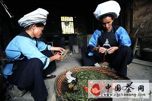 有关于坡柳娘娘茶彰显贞丰茶文化魅力的最新信息(3)