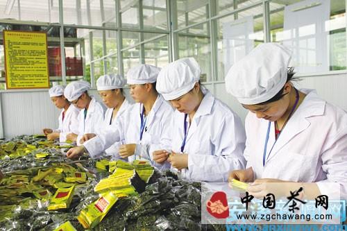 关于安溪茶叶电商理性应对“双十一”网络商战(图)的最新资讯(1)