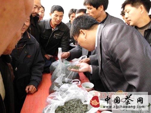 有关于茶叶成浮梁西湖特色优势支柱产业的热门新闻