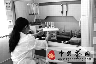 有关于安溪积极搭建公共科技服务平台服务茶产业发展的热门新闻