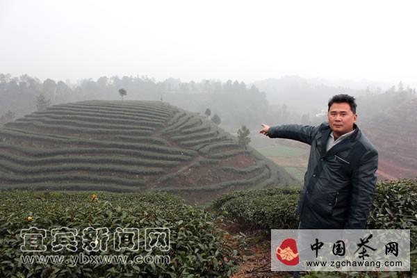 有关于宜宾市明威乡茶叶专业合作社社员当“掌柜”的最新信息