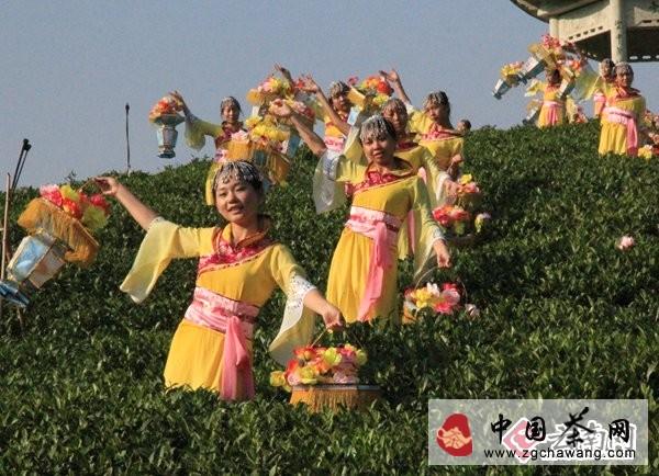 有关于2013中国网络媒体万亩茶园骑行 寻觅松阳茶香的最新资讯(3)