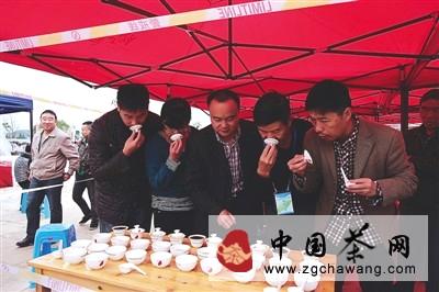 有关于茶王争霸 茶香聚星村的热门消息(2)