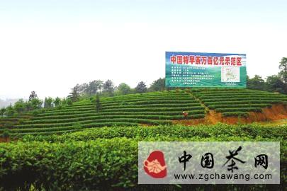 关于纳溪区护国镇:乘着东风种好茶 护国茶农甩掉“穷”帽子的最新资讯