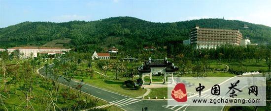 关于参观宜兴阳羡茶文化博物馆的信息