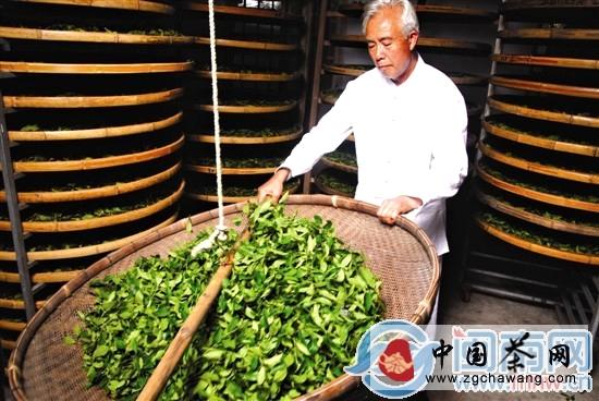 有关于安溪起草制茶高工评审标准 全国首创福建通用的最新信息