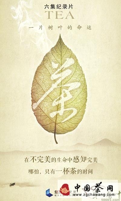 关于大型纪录片《茶》举办首场茶话会的最新信息