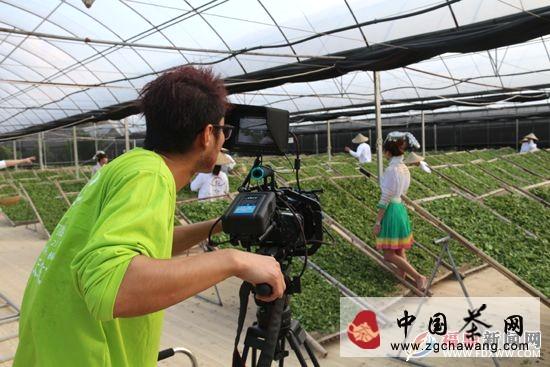 有关于中国日报记者到天丰源茶企采风的热门新闻